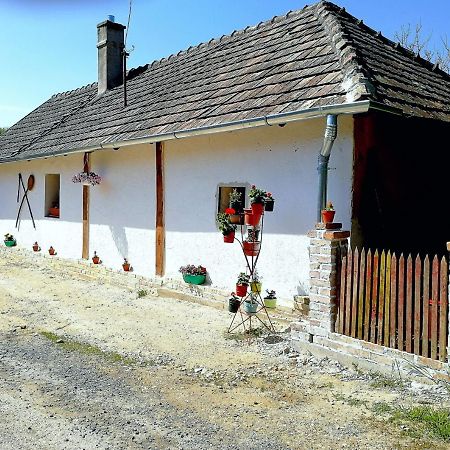 Traditionelles Bauernhaus Flieder Zalaszentgrót Екстериор снимка