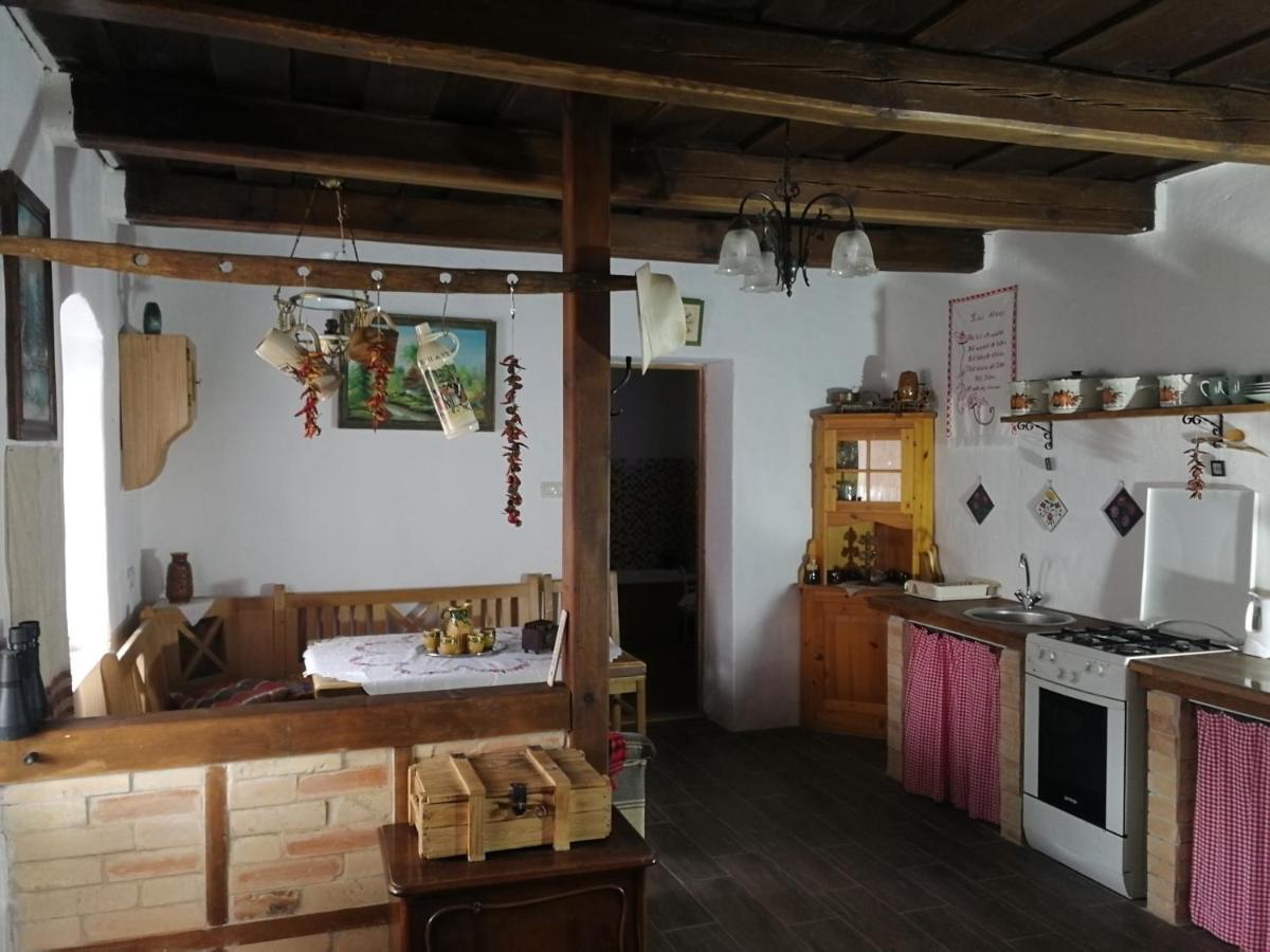 Traditionelles Bauernhaus Flieder Zalaszentgrót Екстериор снимка