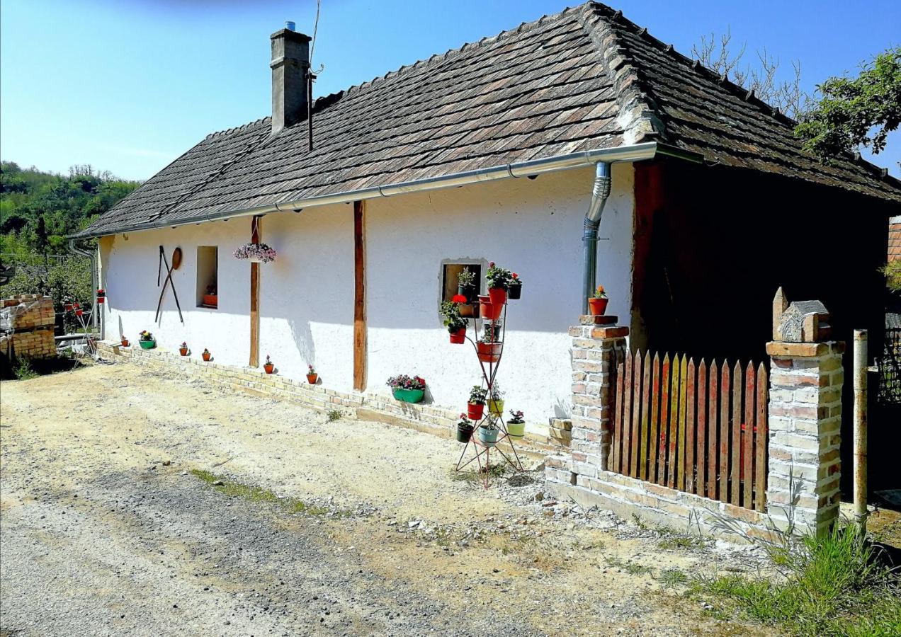 Traditionelles Bauernhaus Flieder Zalaszentgrót Екстериор снимка